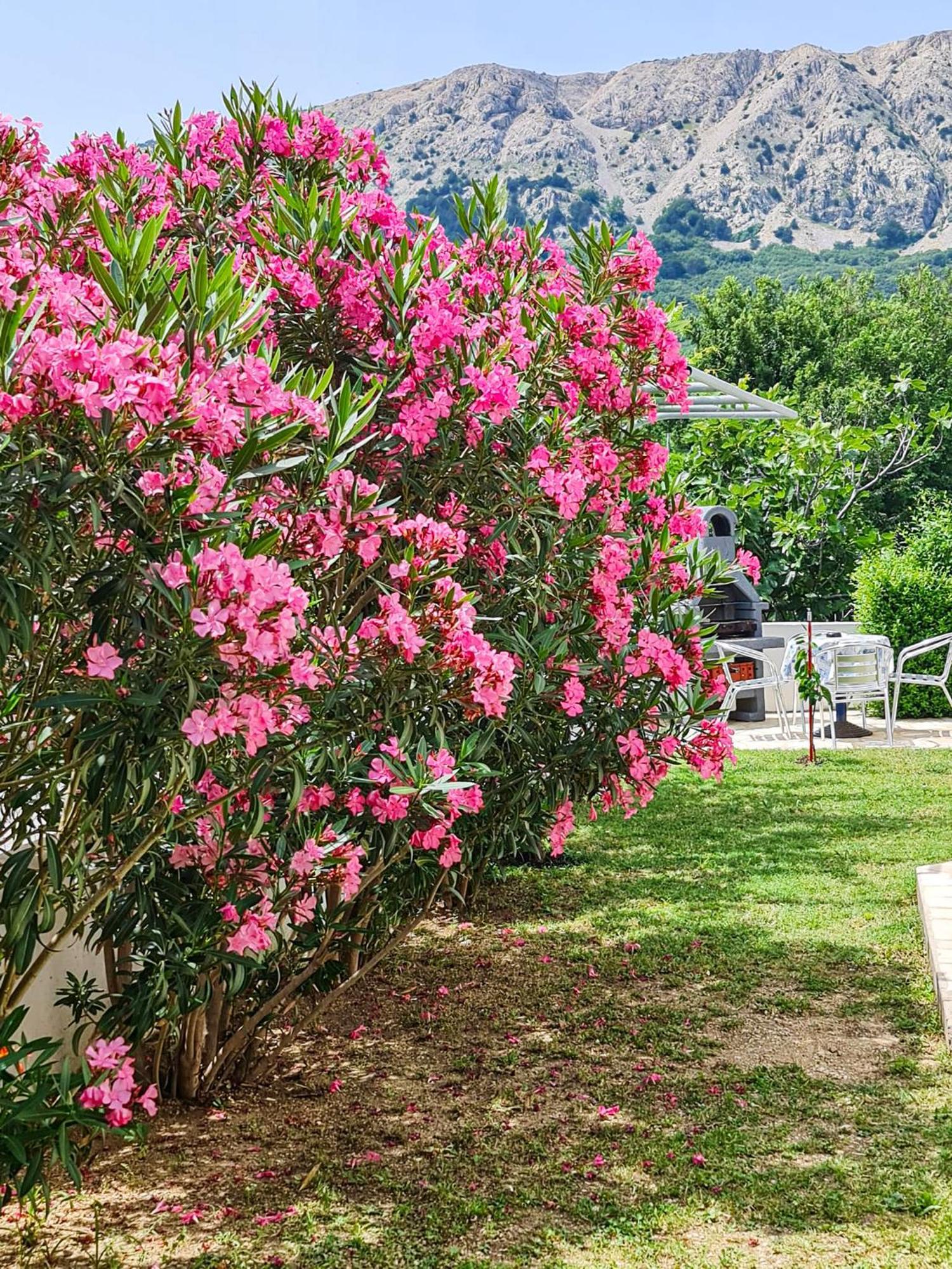 Apartments Benkovic Baška Dış mekan fotoğraf